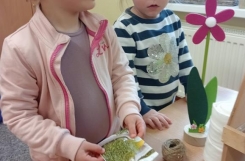 IMG20250311104656 